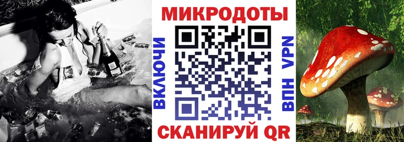 Псилоцибиновые грибы GOLDEN TEACHER  купить закладку  Чаплыгин 